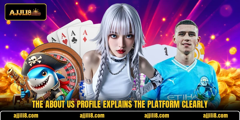 The about us profile explains the platform clearly The about us profile explains the platform clearly